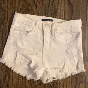 Flying Monkey shorts